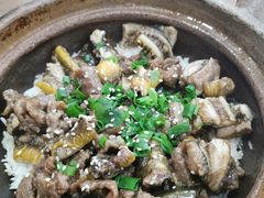 -红星光发煲仔饭(大石街店)