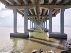 -宝安西湾红树林湿地公园