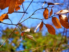风景-头陀岭景区