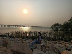 -宝安西湾红树林湿地公园