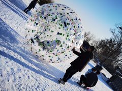 -绿野森林乐园冰雪季