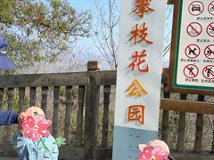 -攀枝花公园