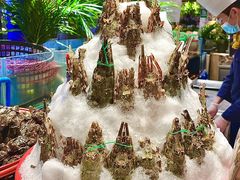 -亚马逊蒸汽活海鲜自助(LCM置汇旭辉广场店)