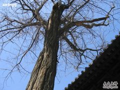 -天津戏剧博物馆