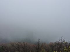 -山王坪喀斯特国家生态公园