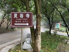 -灵谷景区