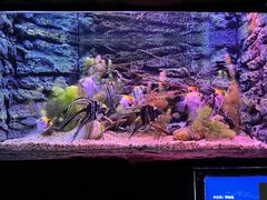 -上海海洋水族馆