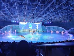 -海合安青岛极地海洋公园