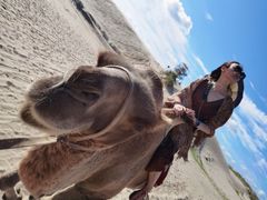 -库伦旗银沙湾旅游景区