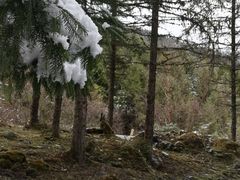 -硗碛藏寨·神木垒景区