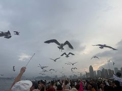 -星海广场