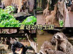 -长鹿旅游休博园