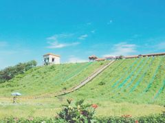 -南戴河国际娱乐中心