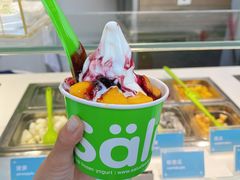 -Salud撒露欧洲冻酸奶(蓝色港湾店)