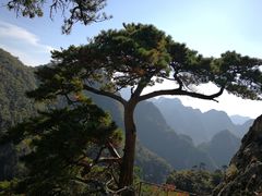 -大连天门山国家森林公园