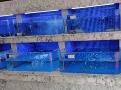 -香山湖渔家大院