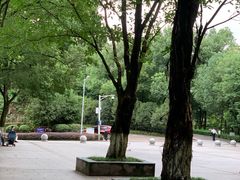 -翠屏公园