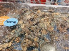 -亚马逊海鲜自助(梅溪湖步步高店)