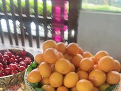 -西双版纳傣族园