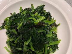 -紫光园·烤鸭·北京菜(劲松店)