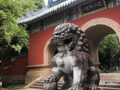 -灵谷景区