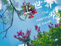 -番禺大夫山森林公园