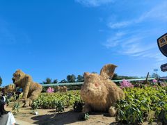 -葫芦古镇关东民俗雪乡