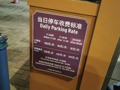 -迪士尼乐园停车场