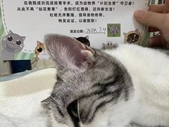 -守诺宠物医院·眼科· 特色牙科·异宠专科(虹口店)