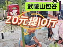 -武陵山森林公园