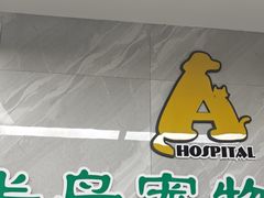 -半岛宠物医院24小时(白果林店)