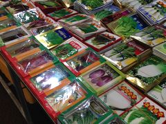 -西归浦每天偶来市场