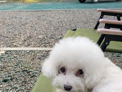 -辛庄国际文化艺术区