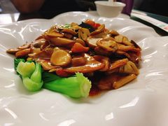黑蒜烧真菌-鸿运楼烤鸭店(天桥店)