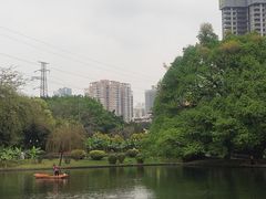 -晓港公园