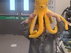 -宜家家居(哈尔滨商场店)