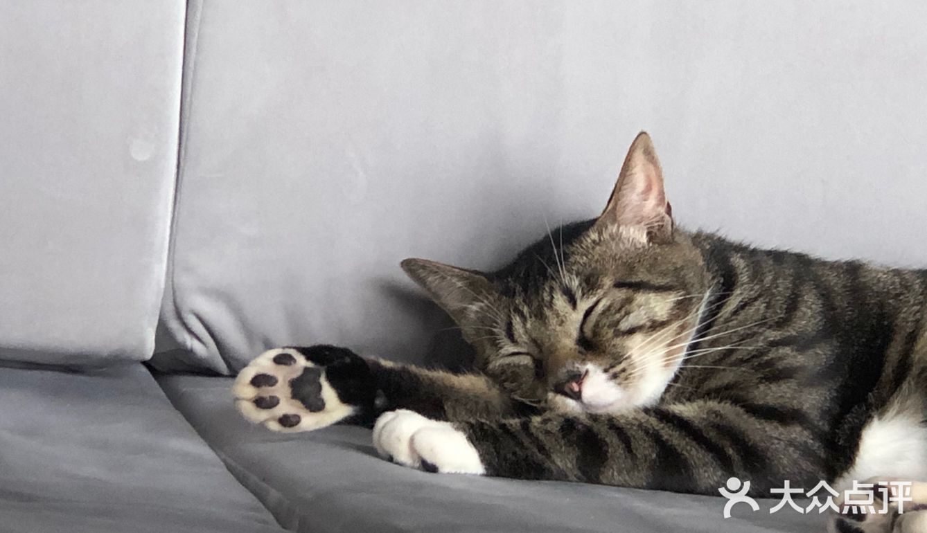 臭脸大哥/臭脸小妹，其实巨粘人