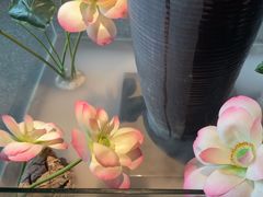 -鸽子侯·家宴·平价海鲜(市图书馆店)