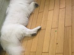 -GAGA主题量贩式KTV平价店(工大店)