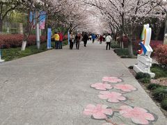 -高东镇樱花园