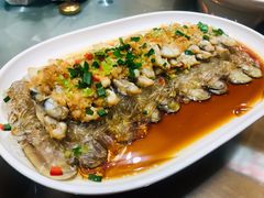 蒜蓉粉丝竹节蛏-渔家风味·鲅鱼水饺·央视展播·海鲜天津菜(开发区店)