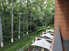 -拾溪餐厅·包厢(杭州千禧度假酒店)