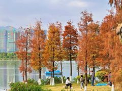 -飞来湖湿地公园