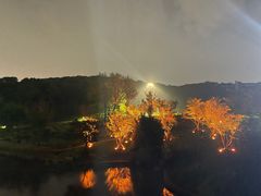 -羊山湖公园