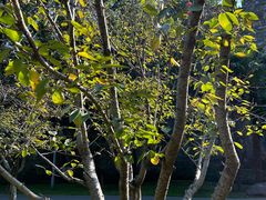 -江苏省人民医院(广州路院区)