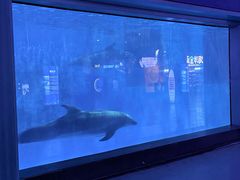 -福州罗源湾海洋世界旅游区