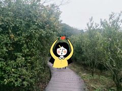 -大罗山风景区
