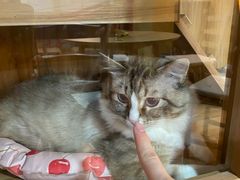 -白兔子密室(长寿路店)