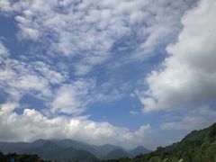 -虹口漂流