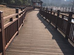 -绍兴镜湖国家城市湿地公园